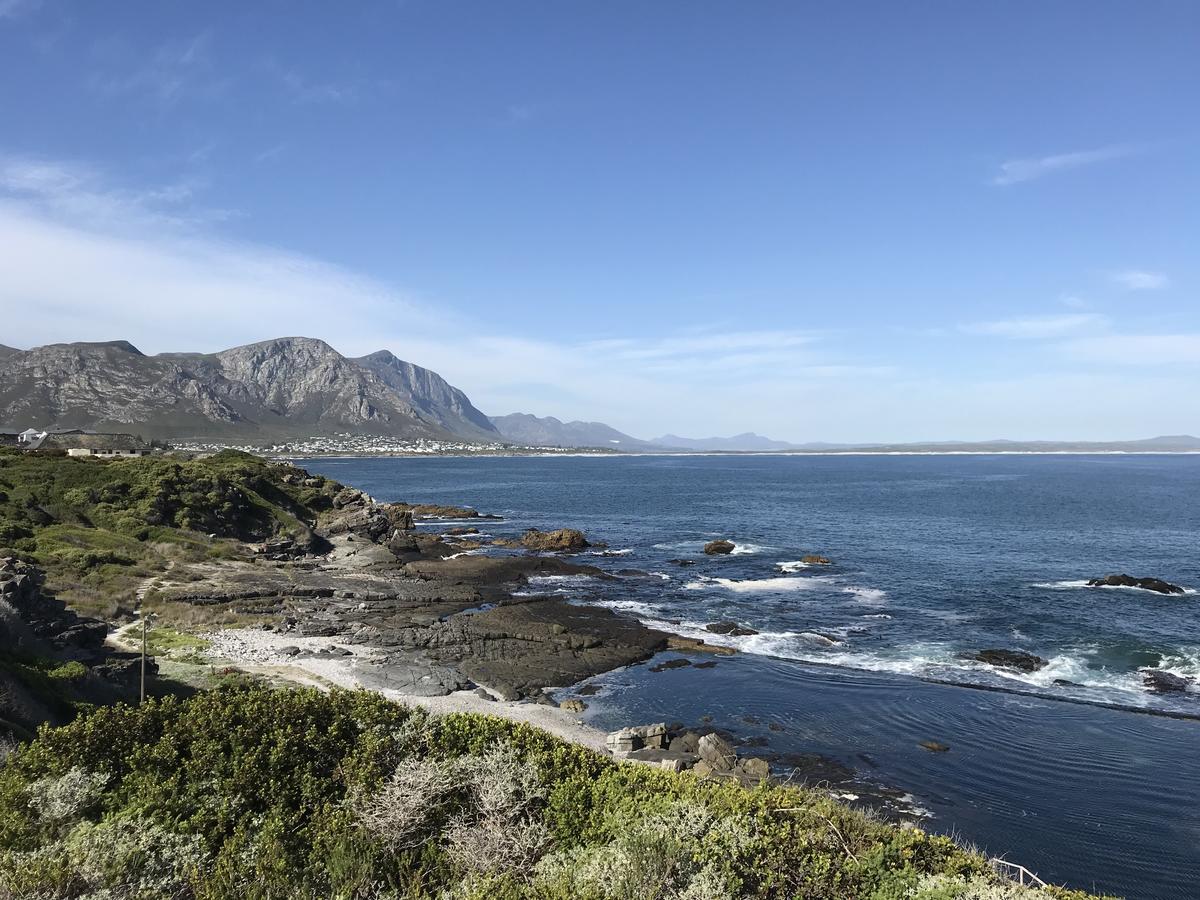 Francolin Manor Panzió Hermanus Kültér fotó