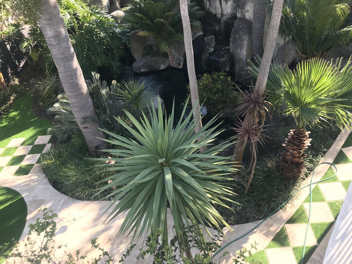 Francolin Manor Panzió Hermanus Kültér fotó