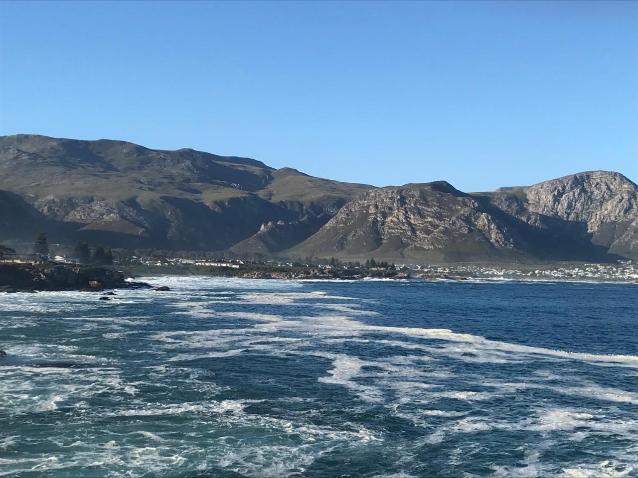 Francolin Manor Panzió Hermanus Kültér fotó