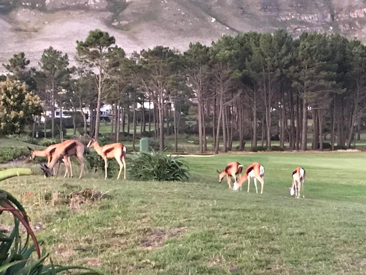 Francolin Manor Panzió Hermanus Kültér fotó